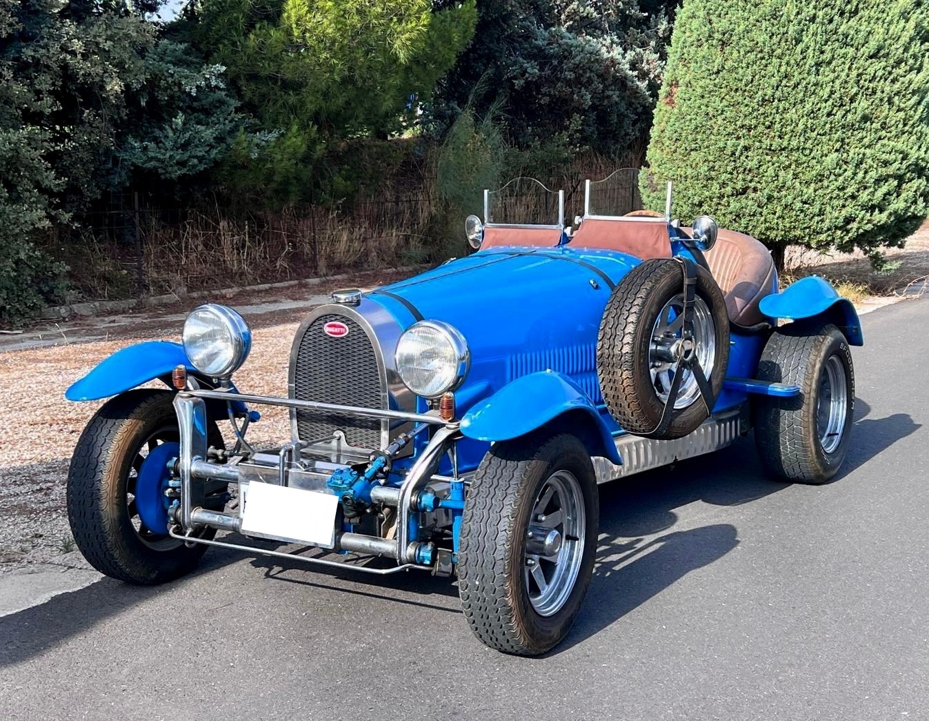 MANN STRAUCH BUGATTI