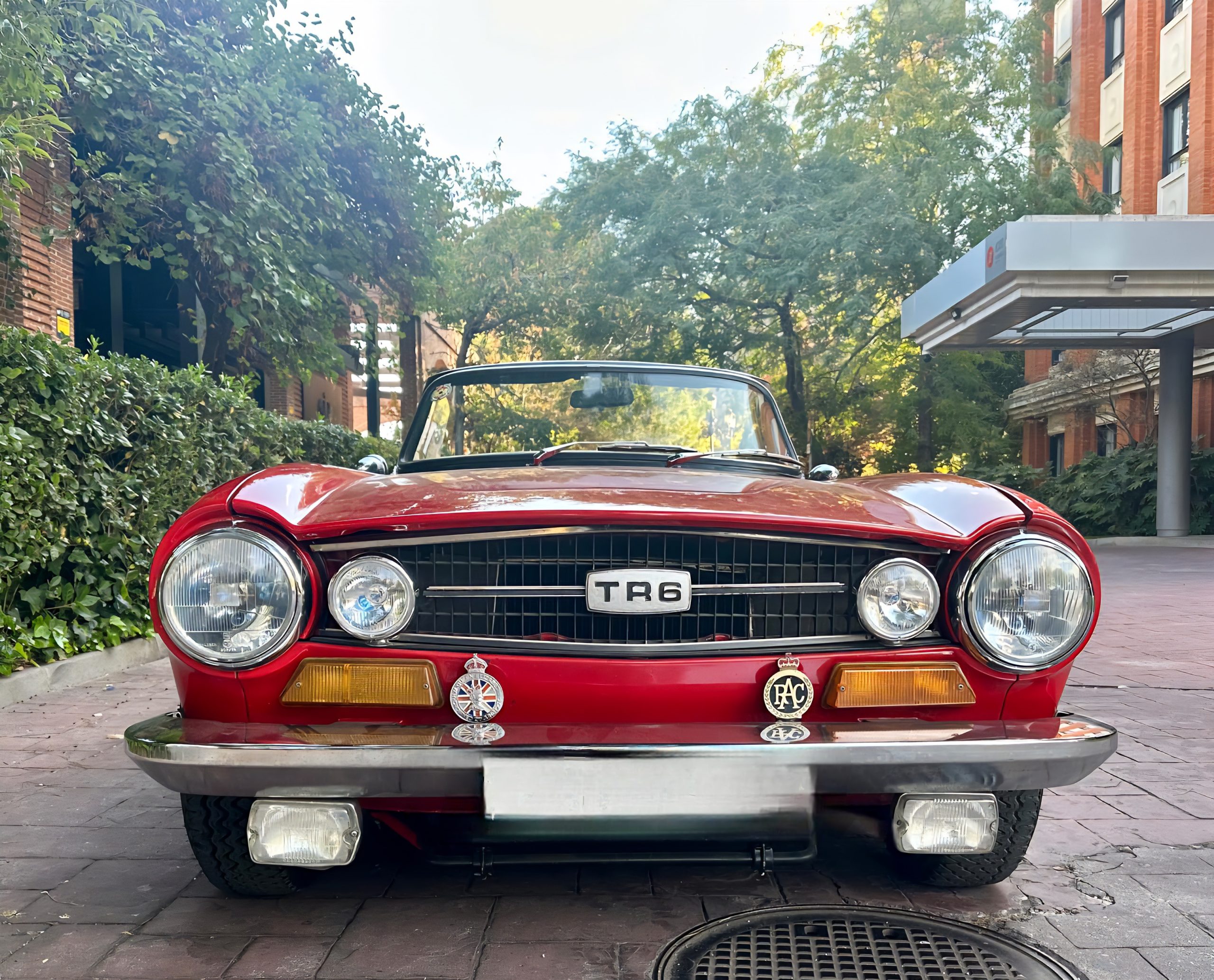 TRIUMPH TR6
