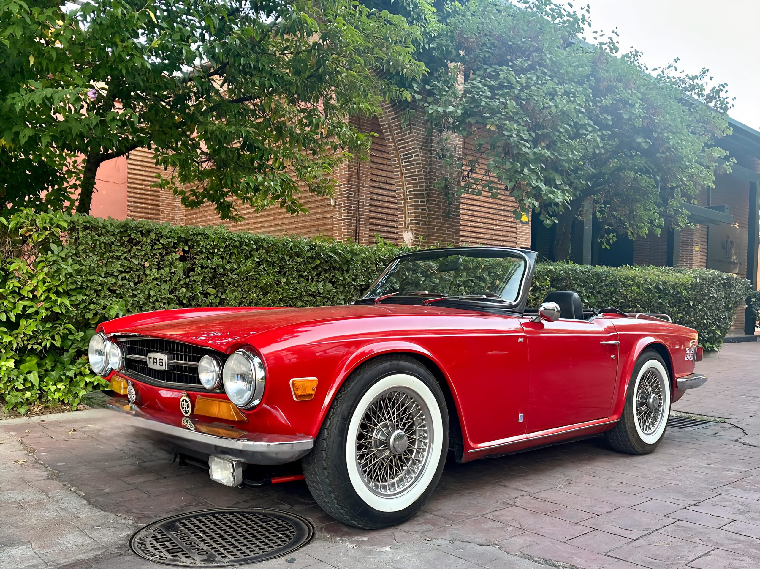TRIUMPH TR6