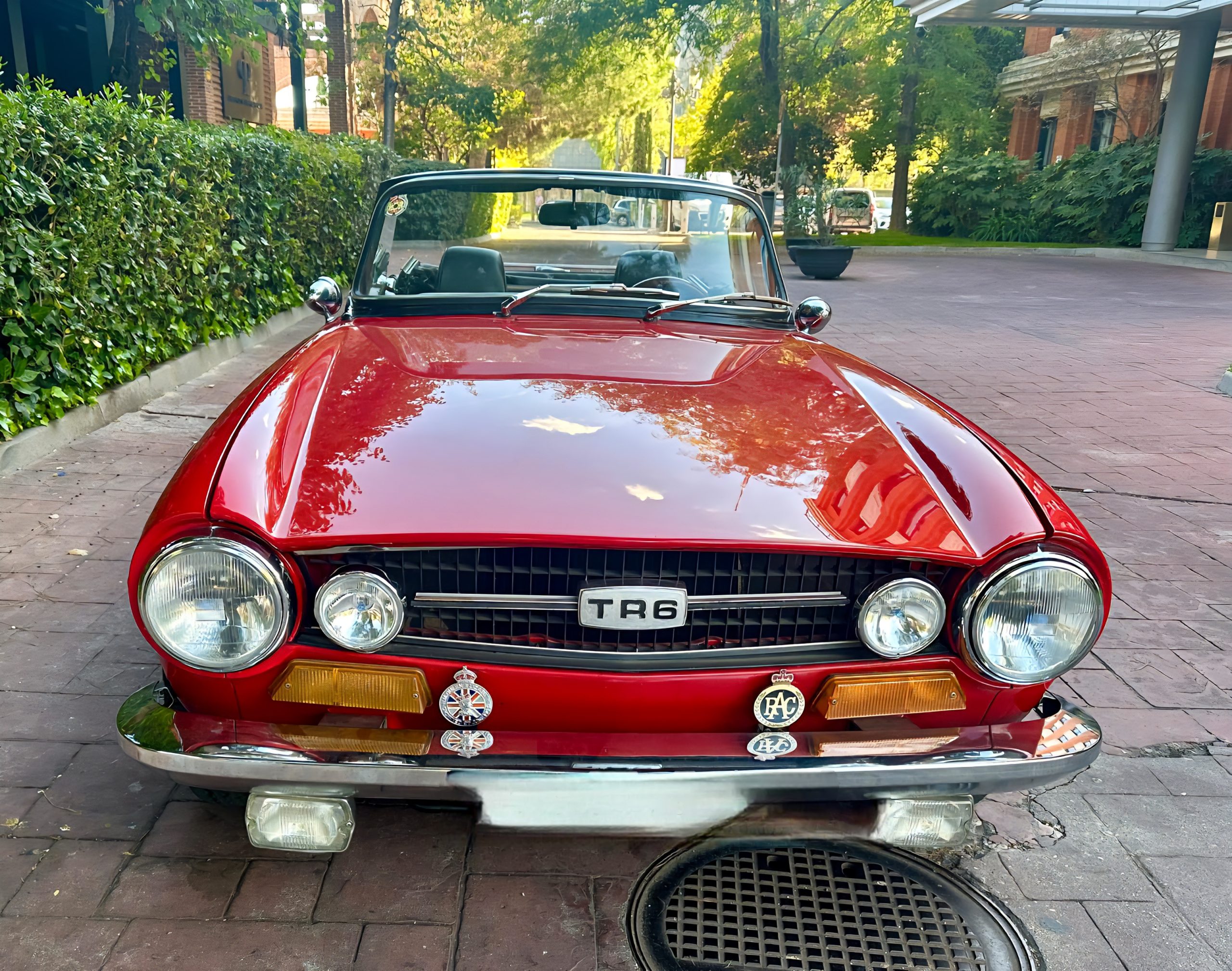 TRIUMPH TR6