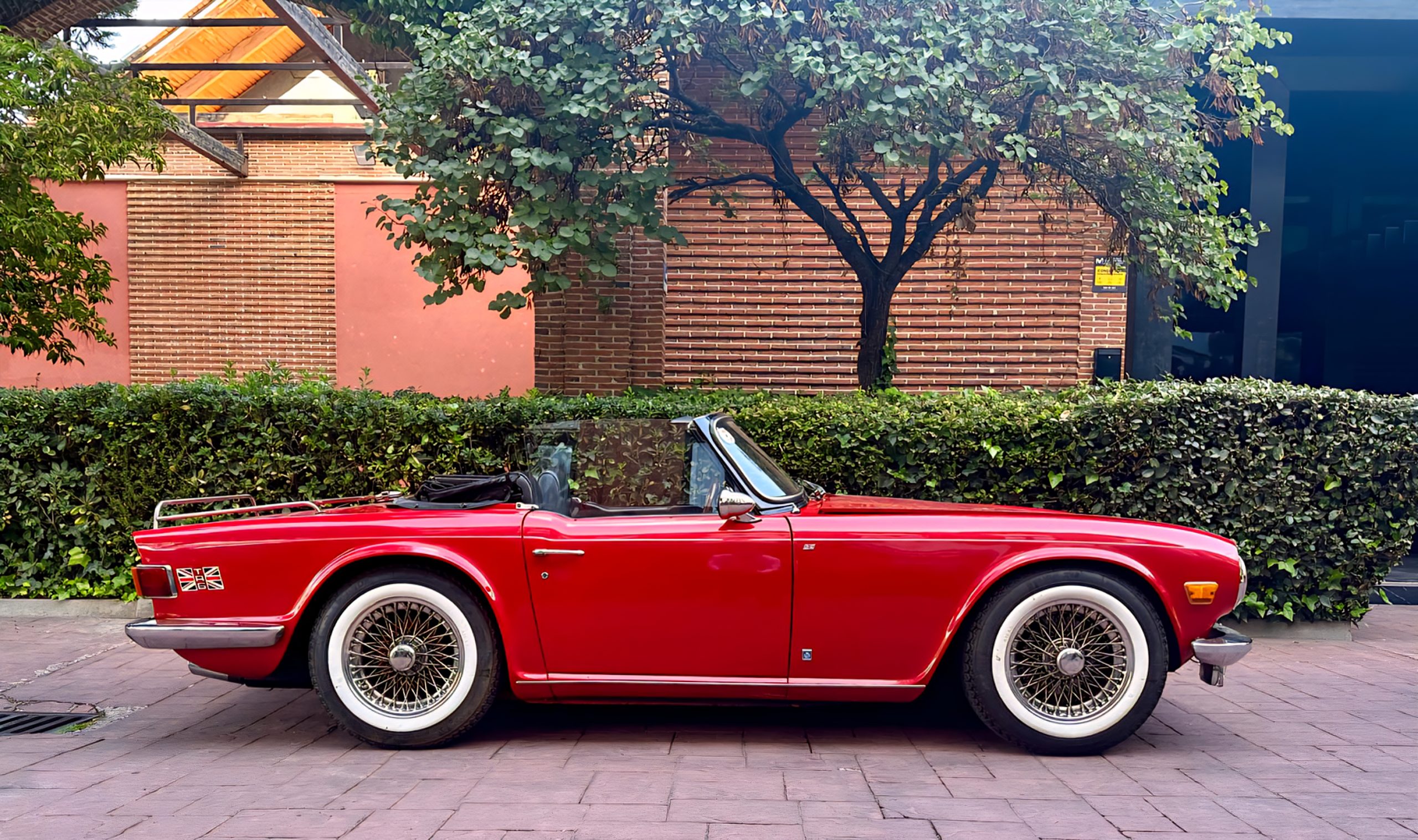 TRIUMPH TR6