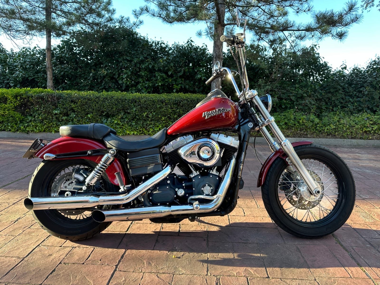 HARLEY DAVIDSON-FXDB DYNA STREET-BOB